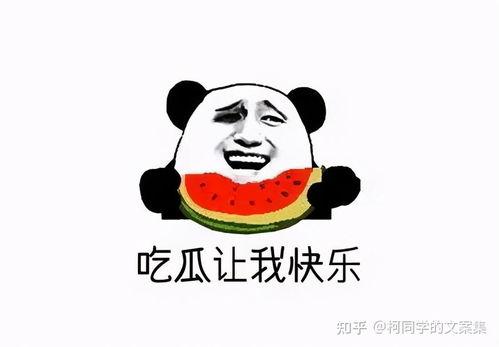 娱乐吃瓜酱上班文案搞笑,笑料连连的娱乐日常
