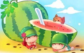 娱乐君吃瓜老绵羊是谁,网络红人的神秘面纱