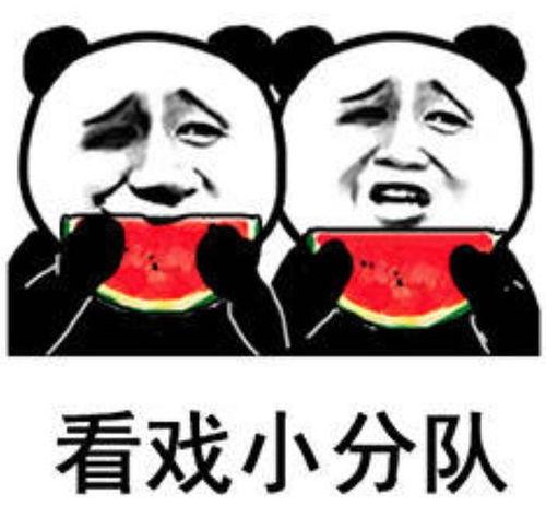 娱乐吃瓜群众,揭秘明星幕后故事，吃瓜群众狂欢时刻